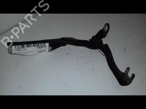 Hinge/Door check strap CITROËN C3 Picasso (SH_) 1.6 HDI 90 | BP29224789C146 