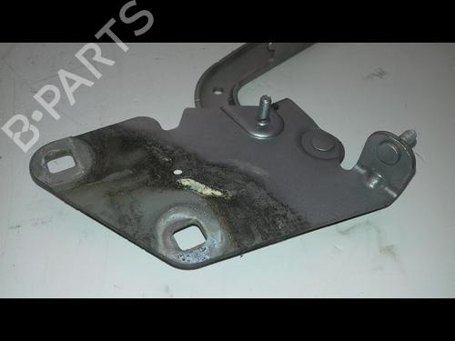 Hinge/Door check strap RENAULT MEGANE III Hatchback (BZ0/1_, B3_) 1.5 dCi (BZ0C) | BP19479789C146 