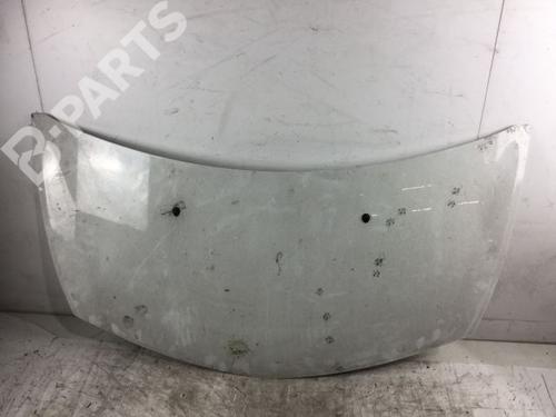 Used Hood RENAULT CLIO III (BR0/1, CR0/1) 1.5 dCi (75 hp) 8961346