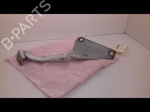 Hinge/Door check strap RENAULT KANGOO Express (FW0/1_) 1.5 dCi 75 (FW07, FW10, FW04) | BP16449399C146 
