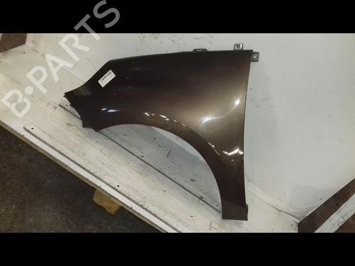 Left front fenders RENAULT SCÉNIC III (JZ0/1_) 1.9 dCi (JZ0J, JZ1J, JZ1K, JZ1S) | BP29224579C41 