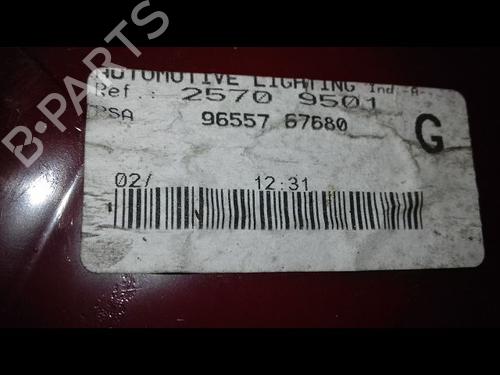 Left taillight PEUGEOT 307 (3A/C) 1.6 HDi | BP30950336C34