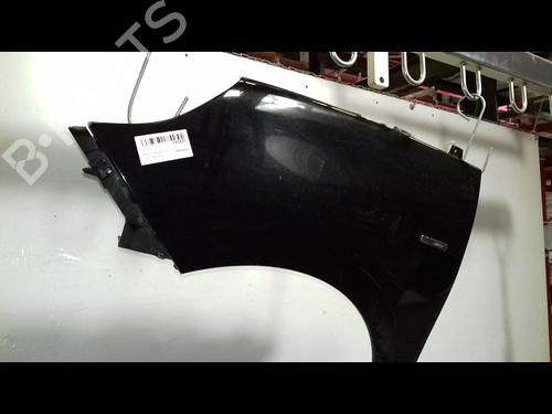 Used Left front fenders RENAULT SCÉNIC III (JZ0/1_) 1.9 dCi (JZ0J, JZ1J, JZ1K, JZ1S) (131 hp) 18887488