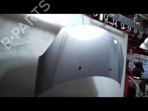 Hood CITROËN C3 II (SC_) 1.1 i | BP29224707C1 