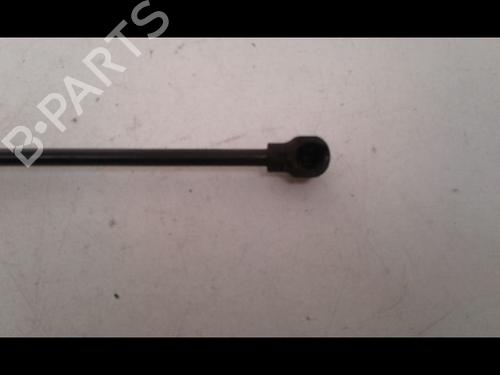 Hood lift support RENAULT KANGOO / GRAND KANGOO II (KW0/1_) 1.5 dCi 90 (KW05, KW08, KW0G, KW11) | BP15200317C139 