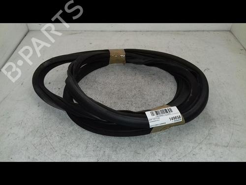 Gummiliste Gummiliste VW POLO V (6R1, 6C1) 1.6 TDI (75 hp) 34049298 34049298