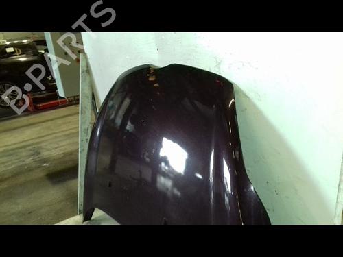 Hood FORD FIESTA VI (CB1, CCN) 1.4 TDCi | BP29224710C1 