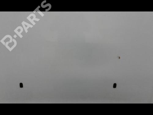 Hood FORD TRANSIT CONNECT (P65_, P70_, P80_) 1.8 TDCi | BP8970950C1