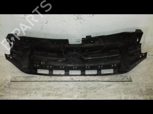 grille-citroen-c3-iii-sx-2016-29224481 main image