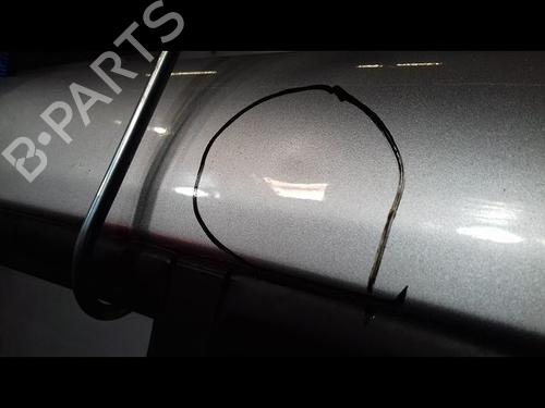 Left rear door RENAULT CLIO III (BR0/1, CR0/1) 1.5 dCi (C/BR0G, C/BR1G) | BP30950013C4