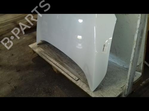 Hood RENAULT MEGANE III Hatchback (BZ0/1_, B3_) 1.5 dCi (BZ1G, BZ1W, BZ0R) | BP29216588C1 