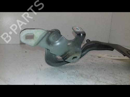 Hinge/Door check strap RENAULT SCÉNIC IV (J9_) 1.6 dCi 130 | BP21226894C146 