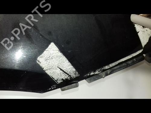 Forskærm Højre Forskærm Højre RENAULT LAGUNA III (BT0/1) 2.0 dCi (BT01, BT08, BT09, BT0E, BT0K, BT12, BT1C, BT1D,... (150 hp) 12235003 12235003
