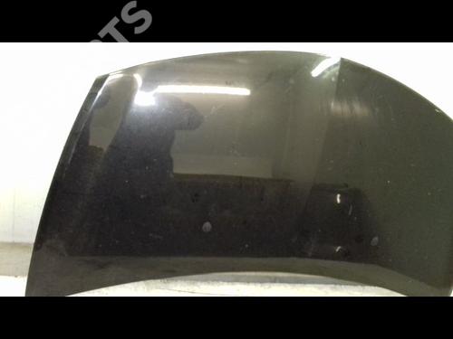 Hood RENAULT CLIO III (BR0/1, CR0/1) 1.5 dCi (BR17, CR17) | BP8964560C1 