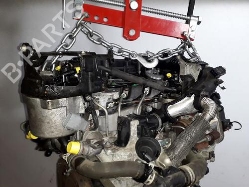 Used Engine FORD TRANSIT CONNECT V408 Box Body/MPV 1.6 TDCi (95 hp) 29045908