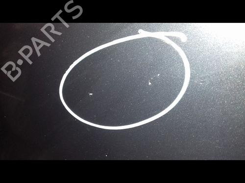Hood RENAULT MEGANE III Hatchback (BZ0/1_, B3_) 1.5 dCi (BZ0C) | BP17175751C1 