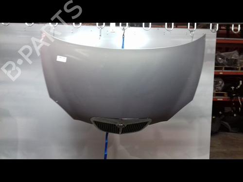 Used Hood Hood LANCIA YPSILON (843_) 1.4 16V (843.AXC11, 843.AXC1B, 843.AXC1A) (95 hp) 8973949 8973949