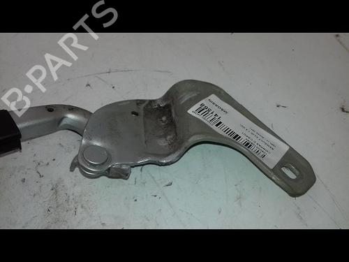 Hinge/Door check strap RENAULT CLIO III (BR0/1, CR0/1) 1.5 dCi | BP18837405C146 