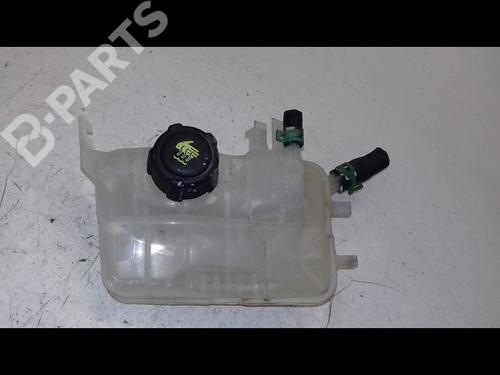 Used Expansion tank RENAULT MEGANE III Hatchback (BZ0/1_, B3_) 1.2 TCe (BZ2B, BZ11) (116 hp) 8970291