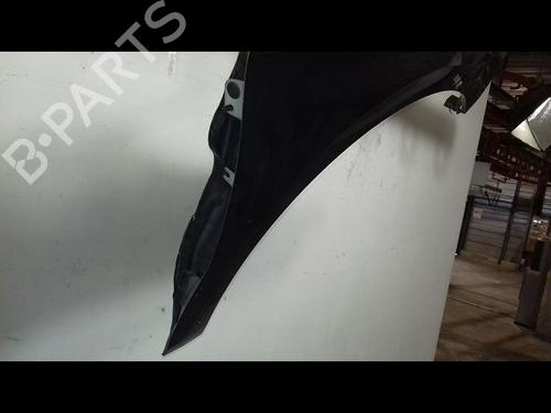 Right front fenders CITROËN C4 II (NC_) 1.6 HDi 90 | BP26197263C42 