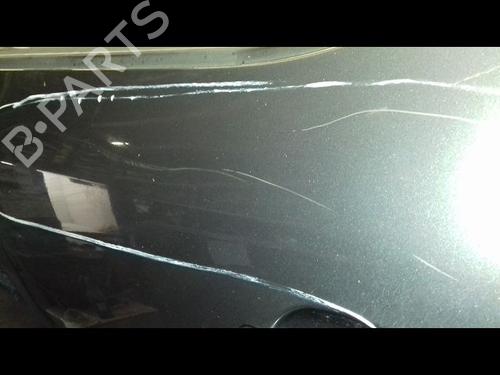 Left front door SKODA ROOMSTER (5J7) 1.9 TDI | BP19123621C2 