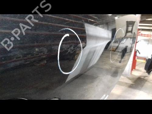 Right front door RENAULT MEGANE III Hatchback (BZ0/1_, B3_) 1.6 dCi (BZ00, BZ12, BZ13) | BP29216615C3 
