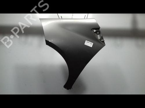 Left front fenders MERCEDES-BENZ A-CLASS (W169) A 180 CDI (169.007, 169.307) | BP14954669C41 