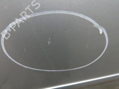 Left front door FORD C-MAX (DM2) 1.8 TDCi | BP17372003C2 