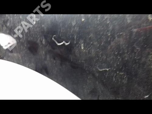 Left front fenders RENAULT SCÉNIC III (JZ0/1_) 1.5 dCi | BP9457251C41 
