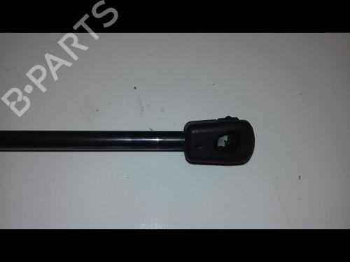 Tailgate lift support MINI MINI (F56) Cooper | BP29225965C138 