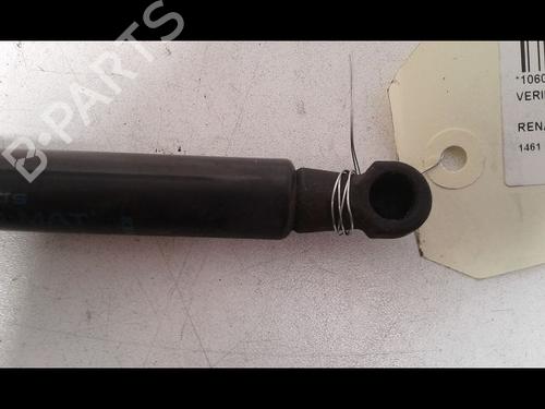 Hood lift support RENAULT SCÉNIC III (JZ0/1_) 1.5 dCi | BP14887680C139 