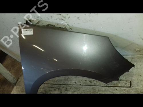 Right front fenders RENAULT SCÉNIC III (JZ0/1_) 1.5 dCi | BP30047876C42 