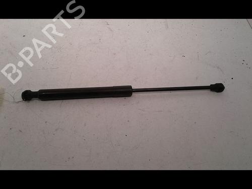 Used Hood lift support RENAULT KANGOO / GRAND KANGOO II (KW0/1_) 1.5 dCi 90 (KW05, KW08, KW0G, KW11) (90 hp) 15200317