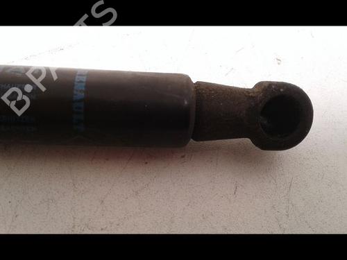 Hood lift support RENAULT SCÉNIC III (JZ0/1_) 1.5 dCi | BP14887673C139 
