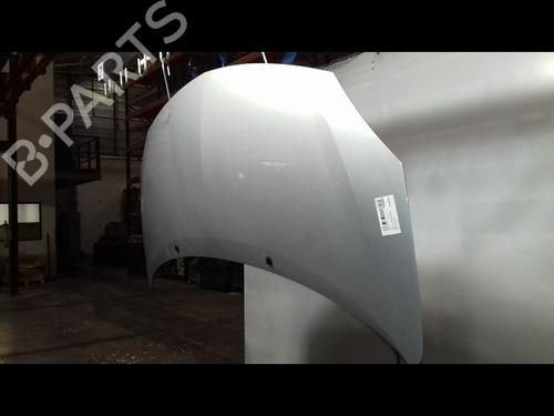 Hood RENAULT TWINGO II (CN0_) 1.5 dCi 75 | BP29345610C1 
