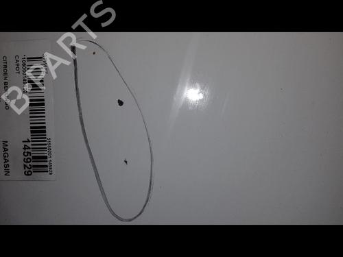 Used Hood CITROËN BERLINGO / BERLINGO FIRST Box Body/MPV (M_) 1.9 D 70 (MBWJZ, MCWJZ) (69 hp) 29216584