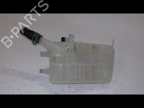 expansion-tank-renault-megane-iii-hatchback-bz01_-b3_-12-tce-bz2b-bz11-217100005r-2008-8970291 main image