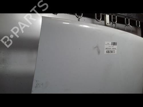 Hood RENAULT RAPID Box Body/MPV (F40_, G40_) 1.2 (F406, G40A) | BP16332480C1