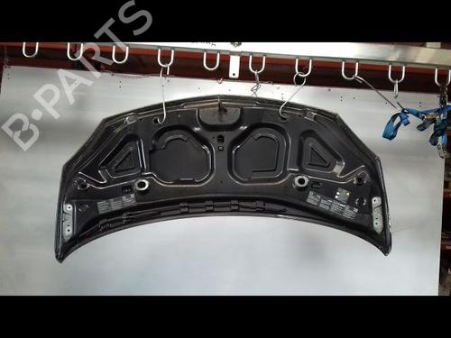 hood-renault-twingo-ii-cn0_-2007-37003951 main image