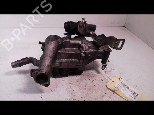 Used Egr CITROËN C3 II (SC_) 1.4 HDi 70 (SC8HZC, SC8HR0, SC8HP4) (68 hp) 9665061