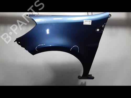 Left front fenders RENAULT CLIO III (BR0/1, CR0/1) 1.5 dCi (C/BR0G, C/BR1G) | BP14954688C41 