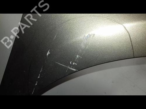 Right front fenders RENAULT CLIO III Grandtour (KR0/1_) 1.2 16V (KR0P) | BP29224499C42 