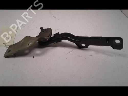 Used Hinge/Door check strap RENAULT CLIO III (BR0/1, CR0/1) 1.6 16V (BR05, BR0B, BR0Y, BR15, BR1J, BR1M, BR1Y, CR0B,... (112 hp) 16931154