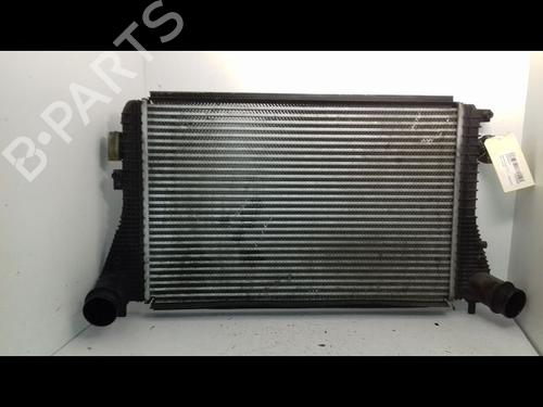 Andre AUDI A3 Sportback (8PA) 1.6 TDI (105 hp) 21392111