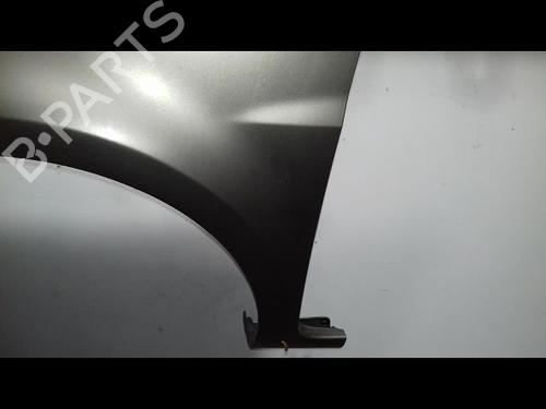Left front fenders RENAULT CLIO III (BR0/1, CR0/1) 1.5 dCi (C/BR0G, C/BR1G) | BP15378367C41 