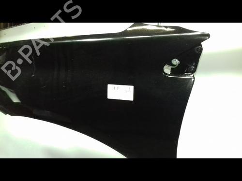 Left front fenders RENAULT LAGUNA III (BT0/1) 2.0 dCi (BT01, BT08, BT09, BT0E, BT0K, BT12, BT1C, BT1D,... | BP12235005C41 