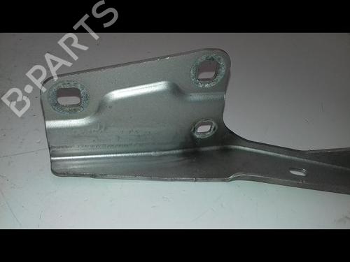 Hinge/Door check strap RENAULT MEGANE III Hatchback (BZ0/1_, B3_) 1.5 dCi (BZ0C) | BP19479789C146 