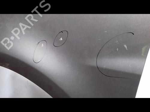 Left front fenders RENAULT CLIO III Grandtour (KR0/1_) 1.2 16V (KR0P) | BP29224563C41 