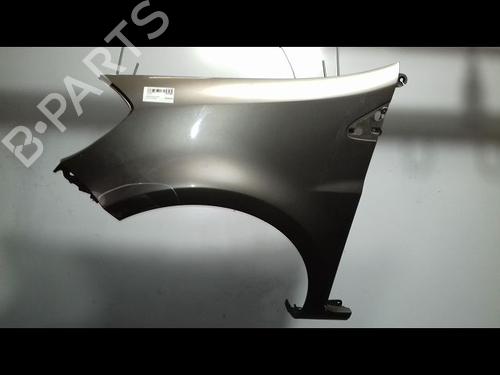 Left front fenders RENAULT CLIO III (BR0/1, CR0/1) 1.5 dCi (C/BR0G, C/BR1G) | BP15378367C41 