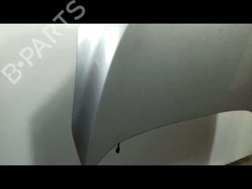 Hood RENAULT MEGANE III Hatchback (BZ0/1_, B3_) 1.5 dCi | BP12431700C1 